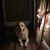Jennifer T Price Farrell's profile image