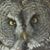 Ryan Schnackel's profile image