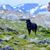 Jana Andrews's profile image