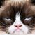 David Hancock's profile image