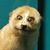 Arthur Horocki's profile image