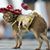 Fredrico Rodriguez's profile image