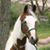 Shavaun Mara Kidd's profile image