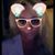 Christy Nicole's profile image