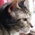 Gerianne Slavinsky's profile image