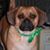Sally F. McHugh's profile image