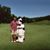 Mike Berra's profile image
