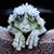 Penni Heller Higgens's profile image