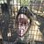 Gary Gien's profile image