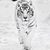 Sherry Lowe's profile image
