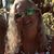 Bettysue Burton Long's profile image