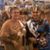 Sally Babb's profile image