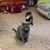 Mary Hesse's profile image