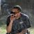 Papillon Peso's profile image