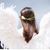 Amy Ritchey's profile image