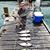 Rick Kegris's profile image