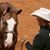 Juli Croghan-Brown's profile image
