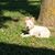 Kelly Gallaugher's profile image