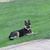 Patti Kiser's profile image