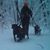 Seth Turock's profile image