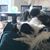Jen Gajda's profile image