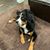 Jill Cobern- Serpa's profile image