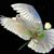 Shahidulla Mahi's profile image