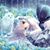 Artic Wolf's profile image