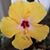 Deana Goswick's profile image
