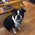 Ronda Cushman Martinez's profile image