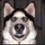 Angie Bennett's profile image