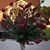 Luz Maria Barreto's profile image