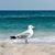 Maureen L. Laffan's profile image