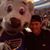 Christopher P Roussin's profile image