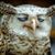 De Darden's profile image