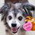 Rachel Rodrigue Nadeau's profile image