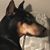 Christina Webster Devenney's profile image