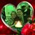 Marypat Murphy Jeffries's profile image