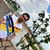 Peshang Shexany's profile image