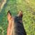 Jenny Jones's profile image