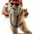 Deb N Dave Thompson's profile image