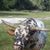 Wayne Henderson's profile image