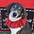 Ziva Tkalec's profile image