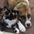 Kimberly Brebner Shreve's profile image
