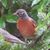 Kathy Monsen's profile image