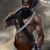 Kamaldeep Bajwa's profile image
