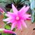 Janet Evers's profile image