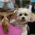 Lisa Johnson's profile image
