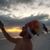 Shay Titus Prevost's profile image