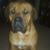 George Ashbaugh's profile image